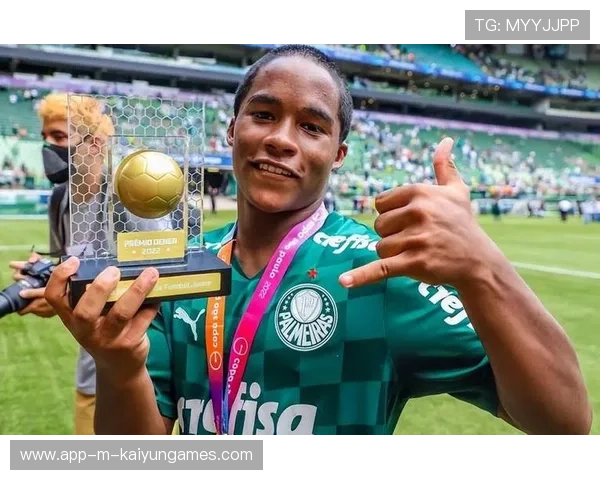 巴西新星炫耀豪车后引网友不满